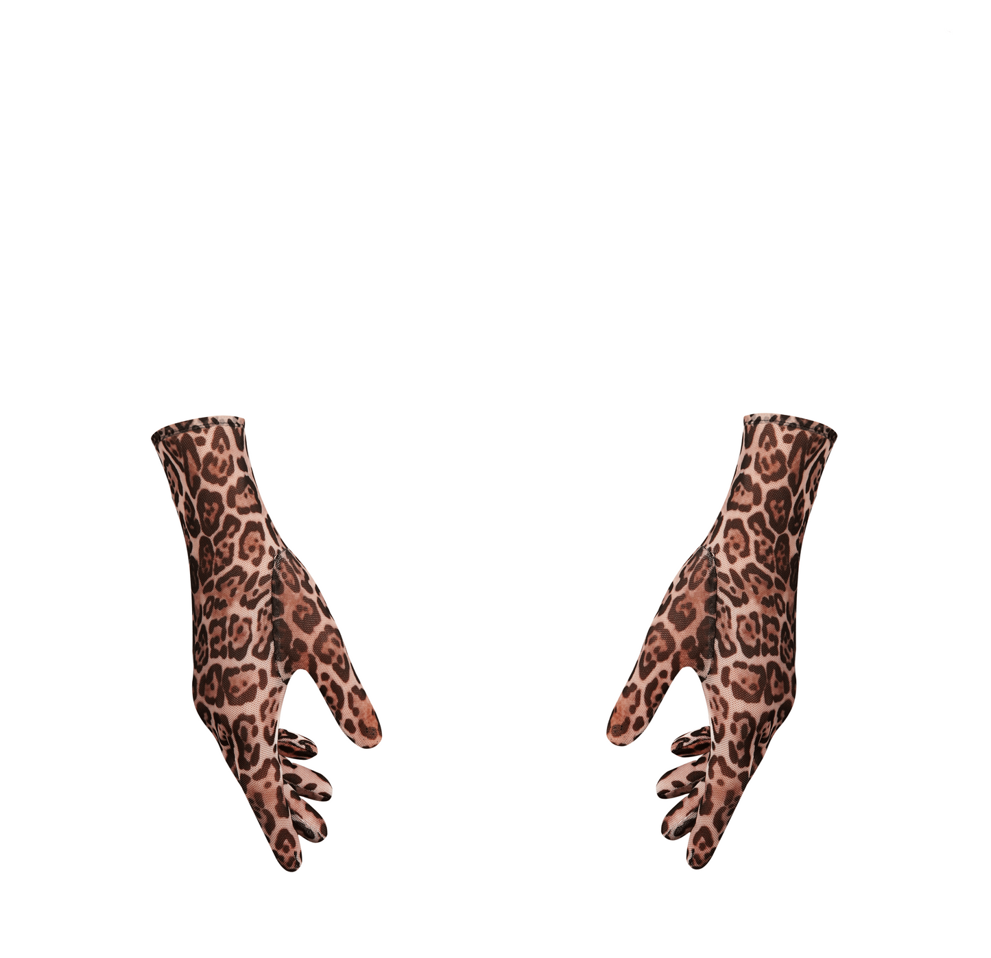 WildPaws Gloves